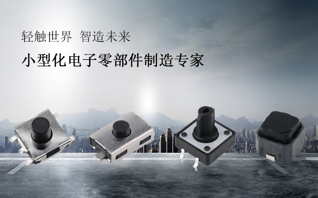 港源電子輕觸開(kāi)關(guān)生產(chǎn)研發(fā)廠(chǎng)家